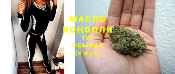 spice Каменка