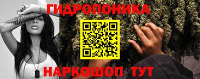 дживик Пенза