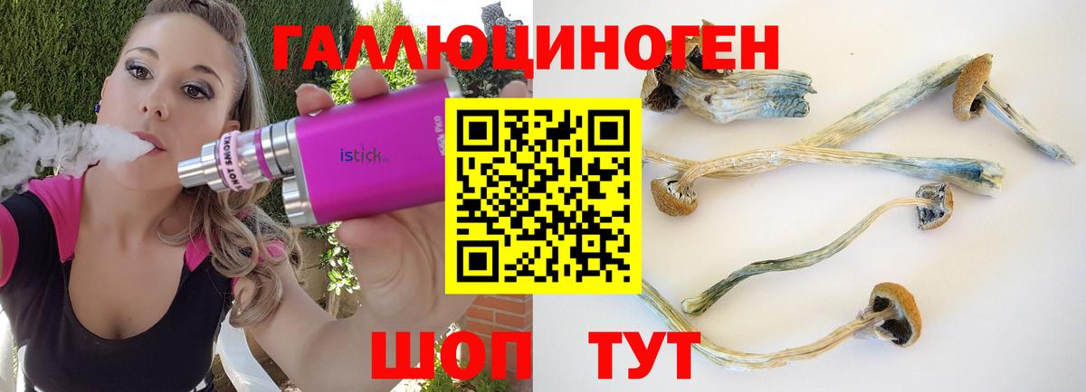 Галлюциногенные грибы прущие грибы Тамбов